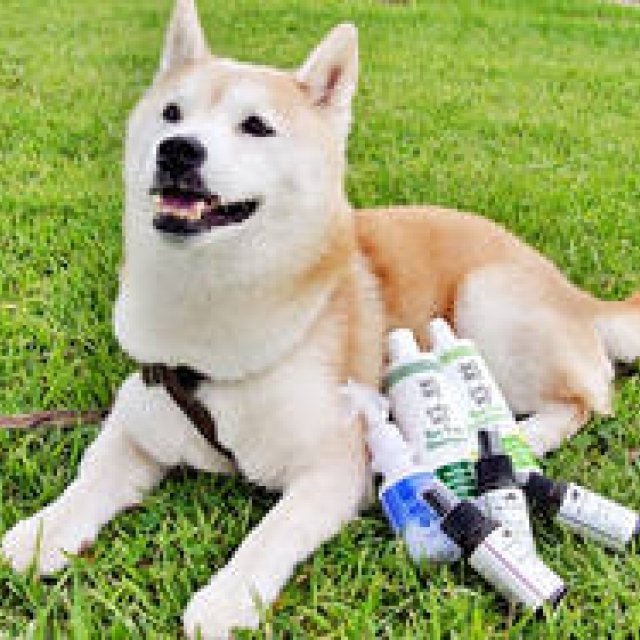 Takakura｜ペットにも飼い主にも快適で安全な最新アイテム