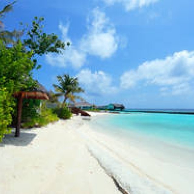 特集｜インド洋に浮かぶ理想郷｜第1章「モルディブという名の唯一無二のリゾート体験」 ギャラリー