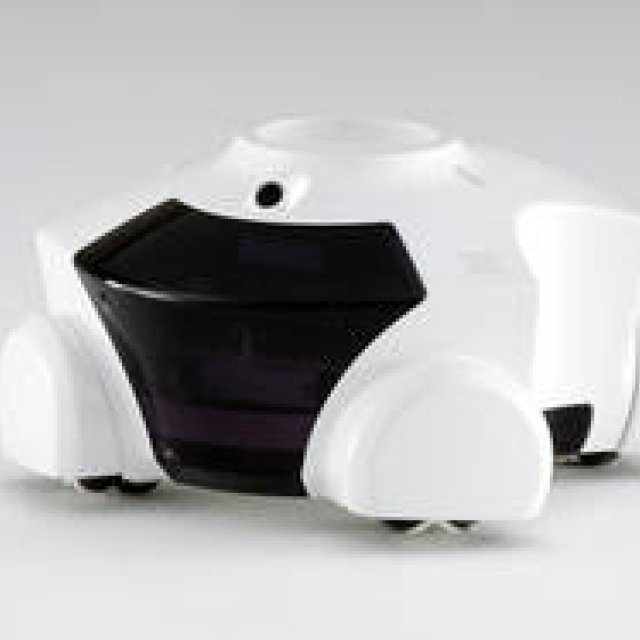 Flower Robotics｜成長する家庭用ロボット「パタン」を開発 ギャラリー