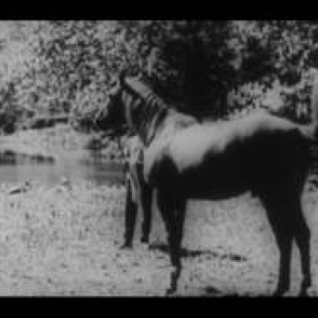 MOVIE｜エキスパートが指南する、初心者のための東京国際映画祭入門 （2） ギャラリー