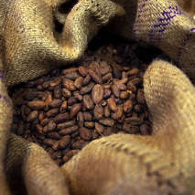 EAT｜「アルチザン パレ ド オール」が清里高原にオープン ギャラリー