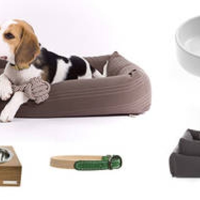 マンゴ & モード｜マンゴ & モード｜ペットのためのラグジュアリーブランドが日本初上陸 ギャラリー