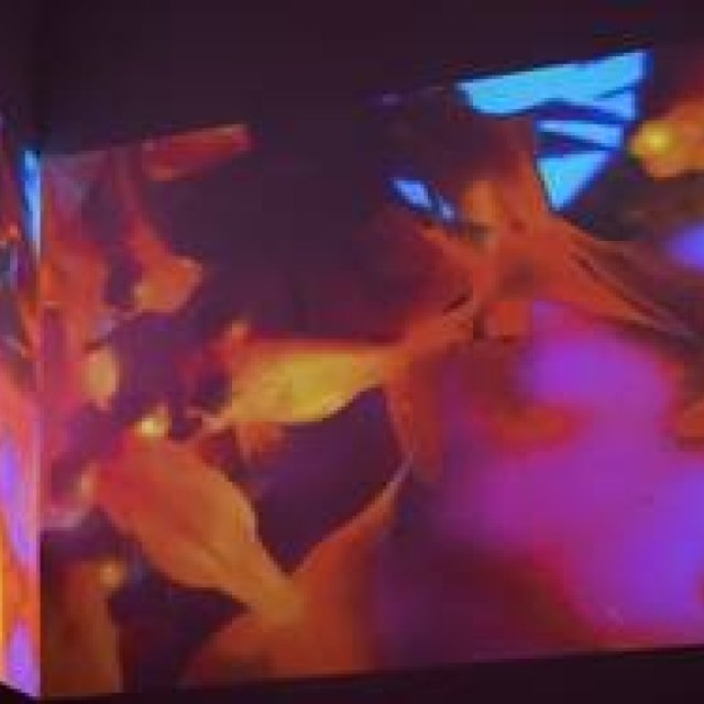 ART｜原美術館で『蜷川実花：Self-image』展　ギャラリー