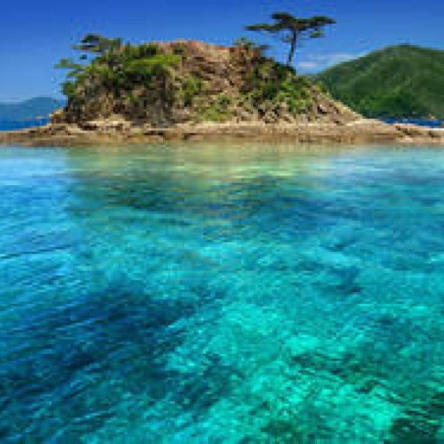 ART｜ニコライ・バーグマンが手掛けた「奄美」テーマのフラワーアートと写真展示 ギャラリー