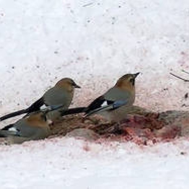 ART｜写真家ホンマタカシ　インタビュー｜新作インスタレーションを『第7回恵比寿映像祭』に出展 ギャラリー