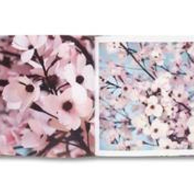 トーマス・デマンドのブックサイニングの個展を開催｜Taka Ishii Gallery ギャラリー