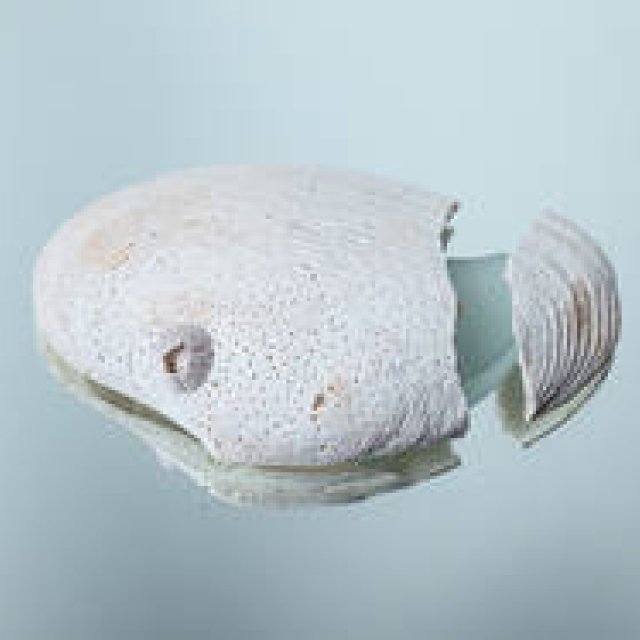 短期連載｜Missing Trace〜ロンドンの記憶と記録のあいだ〜 ギャラリー