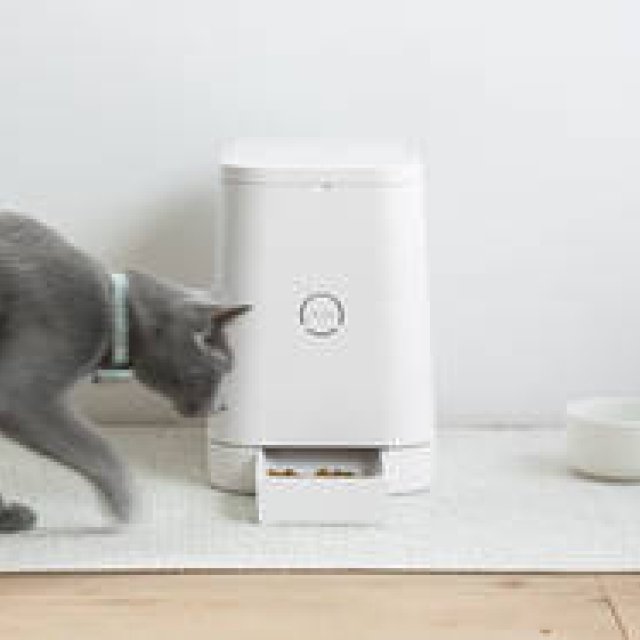 自動給餌器が好評のリン、愛猫家向け新メディア『MILL』スタート｜RINN ギャラリー