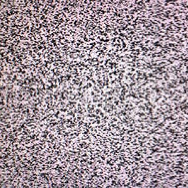 『ヴォルフガング・ティルマンス Your Body is Yours』｜The National Museum of Art, Osaka ギャラリー