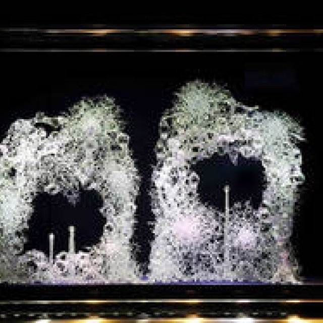 ヴァン クリーフ＆アーペル 全店舗でブライダルフェア開催｜VAN CLEEF & ARPELS ギャラリー