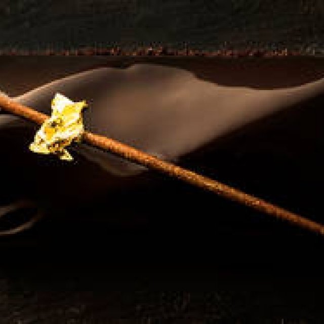 2015年注目のクリスマスケーキを一挙紹介｜Vol. 3「ブッシュ」｜特集