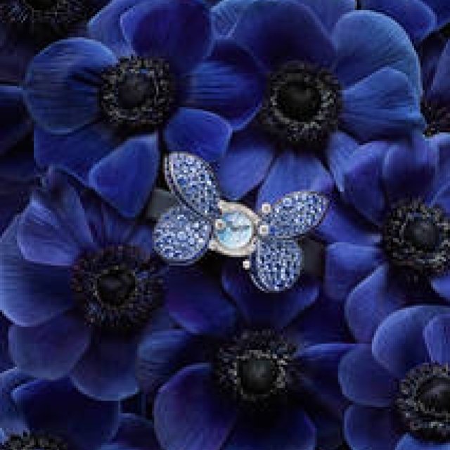 バーゼルワールド2016発表 崇高なる新作コレクション｜GRAFF ギャラリー