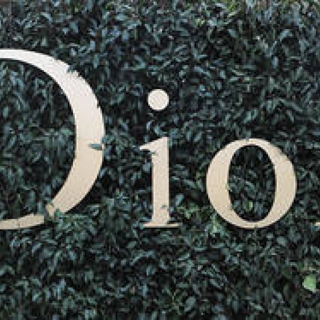 ディオール 2017年春夏オートクチュールコレクション｜Dior