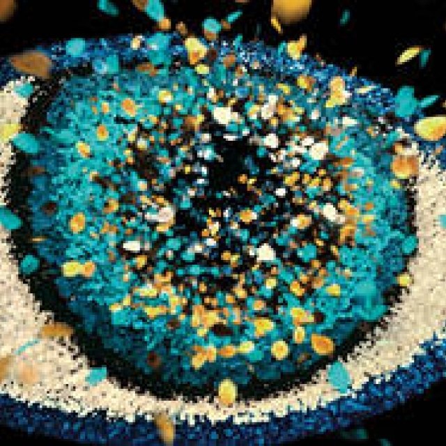 自由で大胆な“KENZOウーマン”のスピリットをリアライズする香水｜KENZO ギャラリー