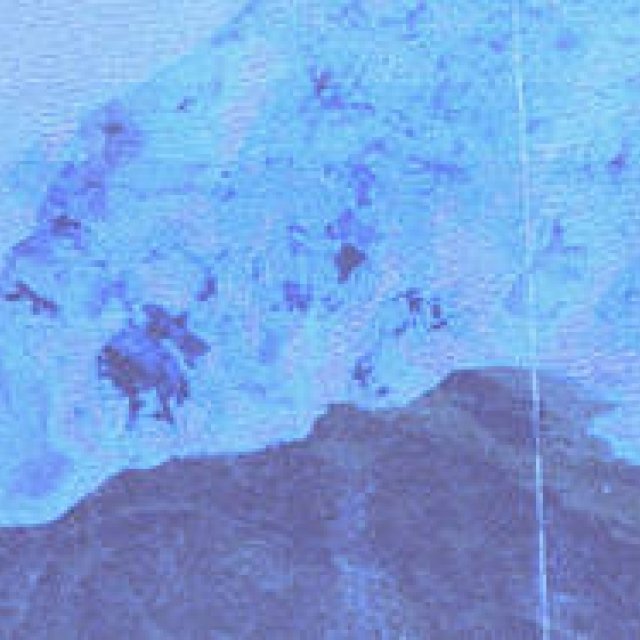 グラフィックアーティスト YOSHIROTTENの展覧会『FUTURE NATURE』｜ART ギャラリー