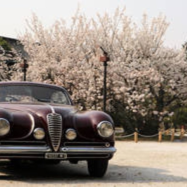 コンコルソ・デレガンツァ・京都 2018｜Concorso d’Eleganza 2018 ギャラリー