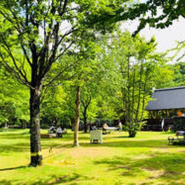 Jazztronik柴咲コウも出演。北海道美瑛町で野外イベントGrand Viewty開催決定｜MUSIC ギャラリー