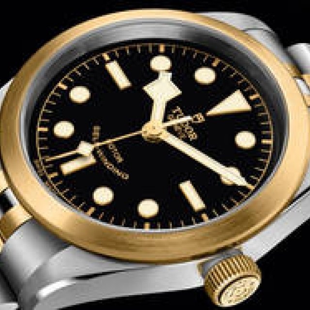 5列センターリンクのブレスレットを備えた新作「ブラックベイ 41/36/32 S&G」｜TUDOR　ギャラリー