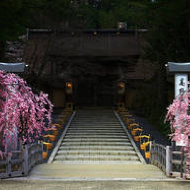 僧侶によるガイドで寺院と遺構を巡る「古絵図で巡る高野山探訪」｜TRAVEL ギャラリー