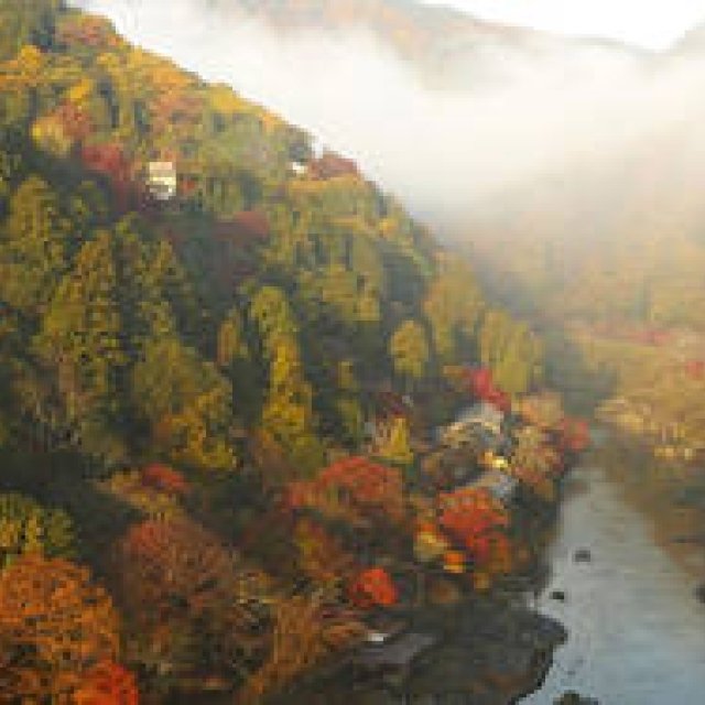 1日1組限定、紅葉に彩られた京都の街を巡る「紅葉ヘリクルーズ」｜HOSHINOYA Kyoto　ギャラリー