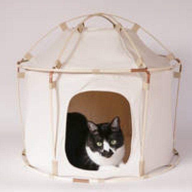 大きな話題を呼んだネコ用テントがジャイアントサイズになって登場｜41世紀