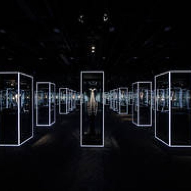 美と歴史を体感する「Feel the Pearl 感じるパール展」｜MIKIMOTO