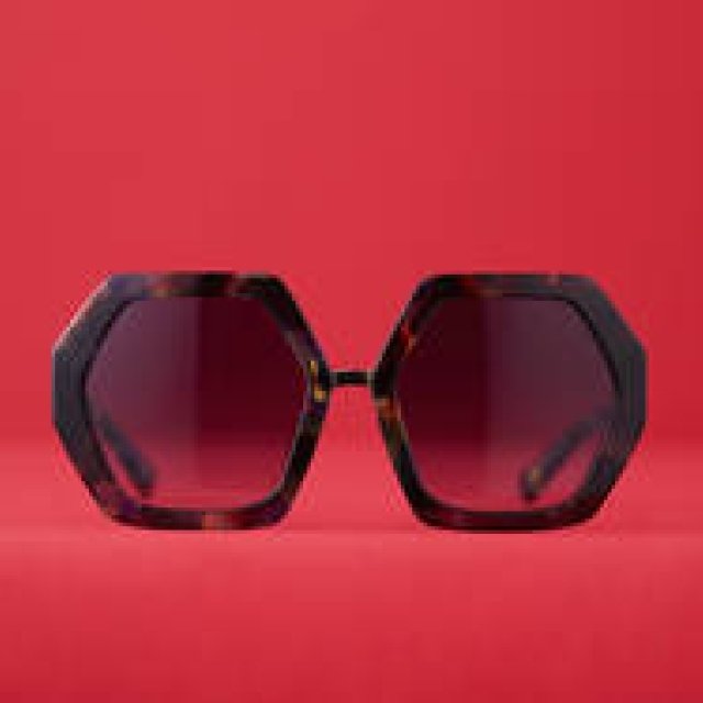 vol.47「個性派サングラス」VALENTINO GARAVANI｜ヴァレンティノ ガラヴァーニ ギャラリー