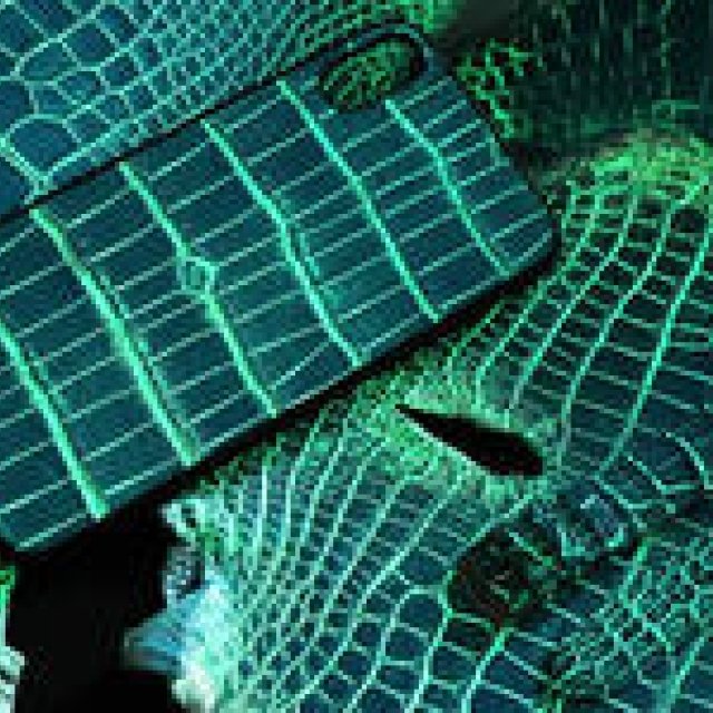 ジャン・ルソーが開発した、暗闇で光るアリゲーターレザー｜JEAN ROUSSEAU