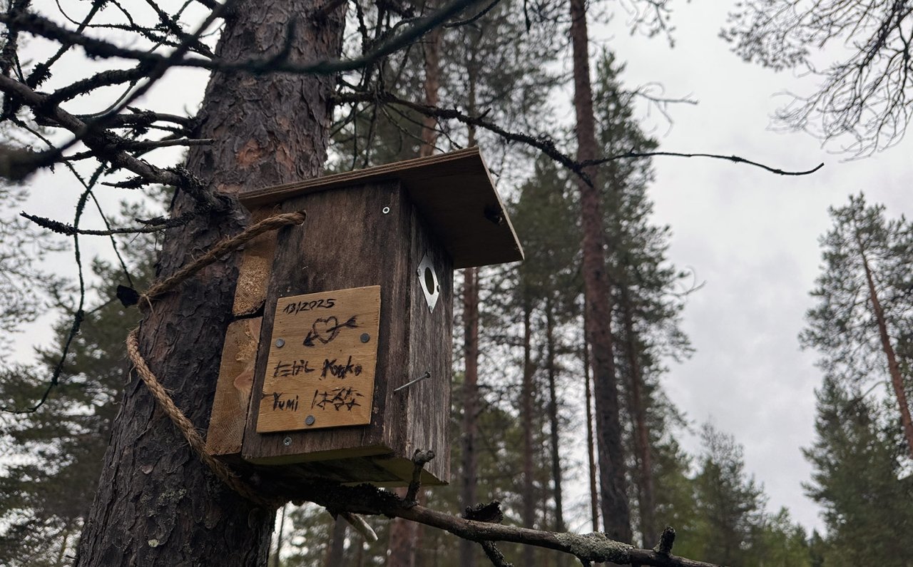 すべての行為がマインドフルネス。“ととのい”の国、フィンランドへ