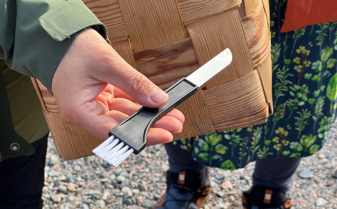 すべての行為がマインドフルネス。“ととのい”の国、フィンランドへ