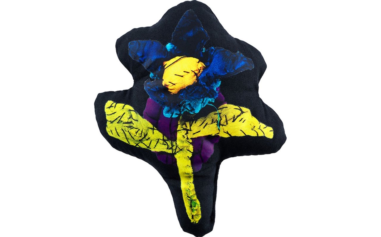 [Anne Valérie Dupondインタビュー] 新作展「Bestioles」が表参道ヒルズ・MEDICOM TOY PLUSにて開催 | MEDICOM TOY