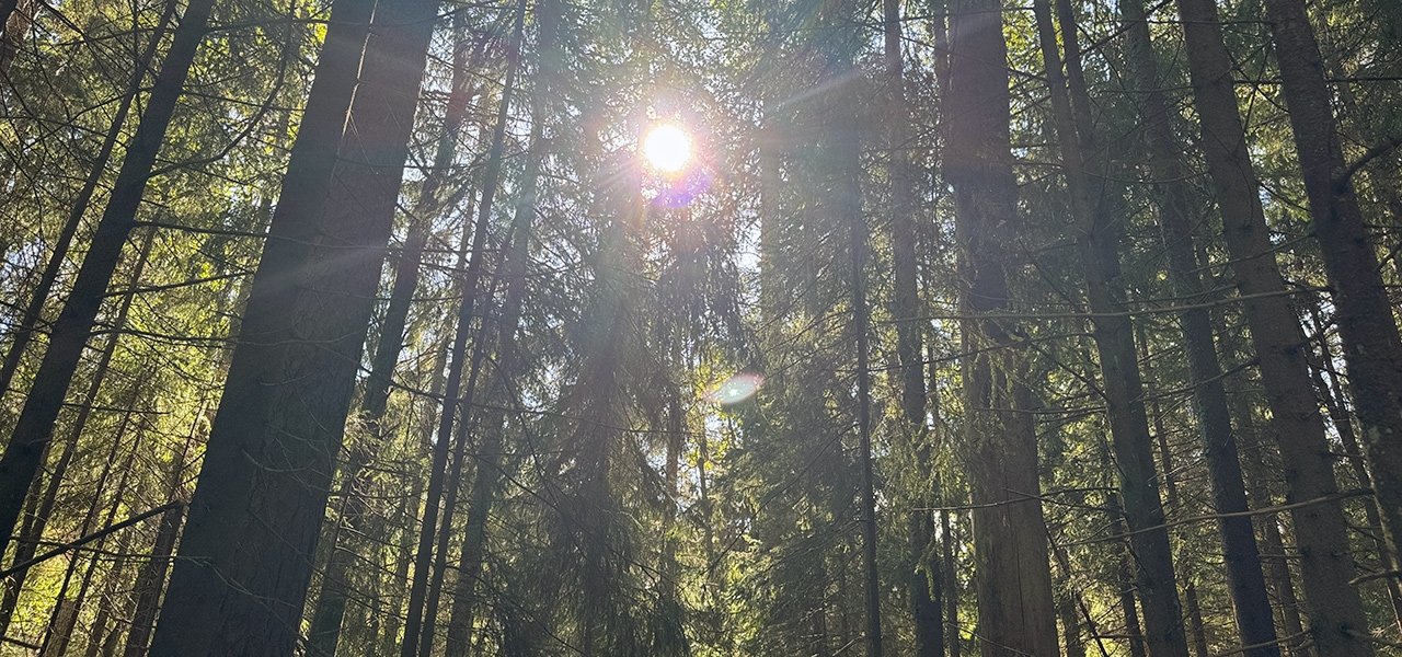 すべての行為がマインドフルネス。“ととのい”の国、フィンランドへ