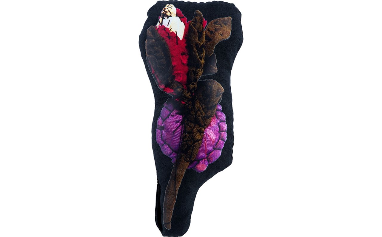 [Anne Valérie Dupondインタビュー] 新作展「Bestioles」が表参道ヒルズ・MEDICOM TOY PLUSにて開催 | MEDICOM TOY