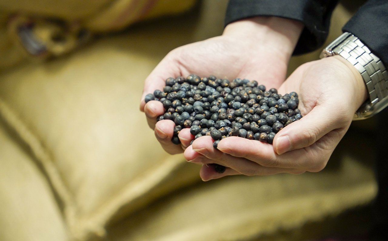 京都府亀岡市に誕生した新蒸溜所が明かす、世界が「季の美」を選ぶ理由