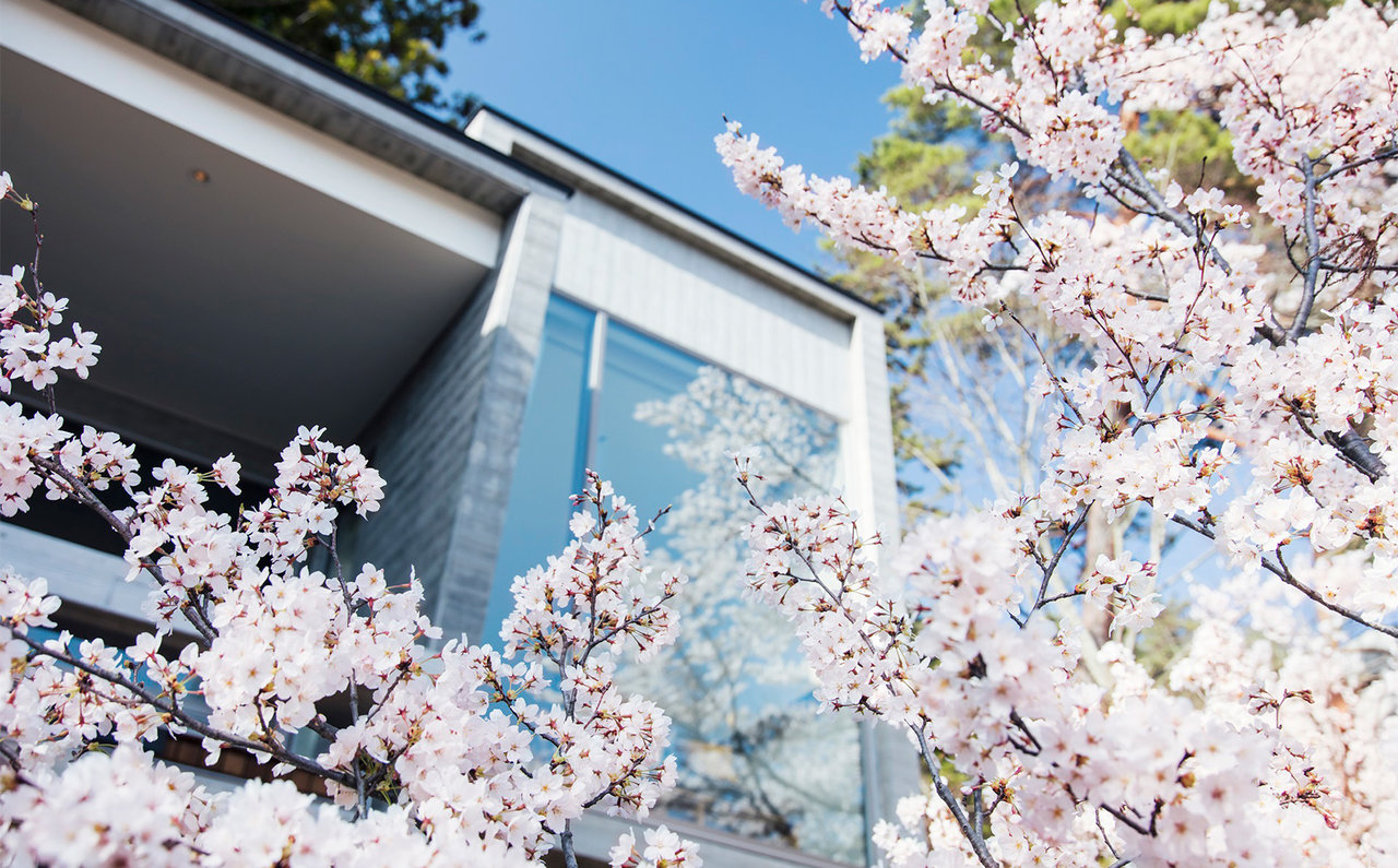 星のや富士 桜とキャビン外観