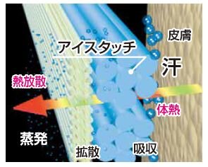 アイスタッチ構造図