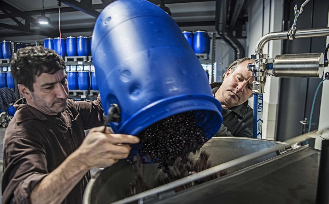 MONKEY 47 モンキー フォーティセブン