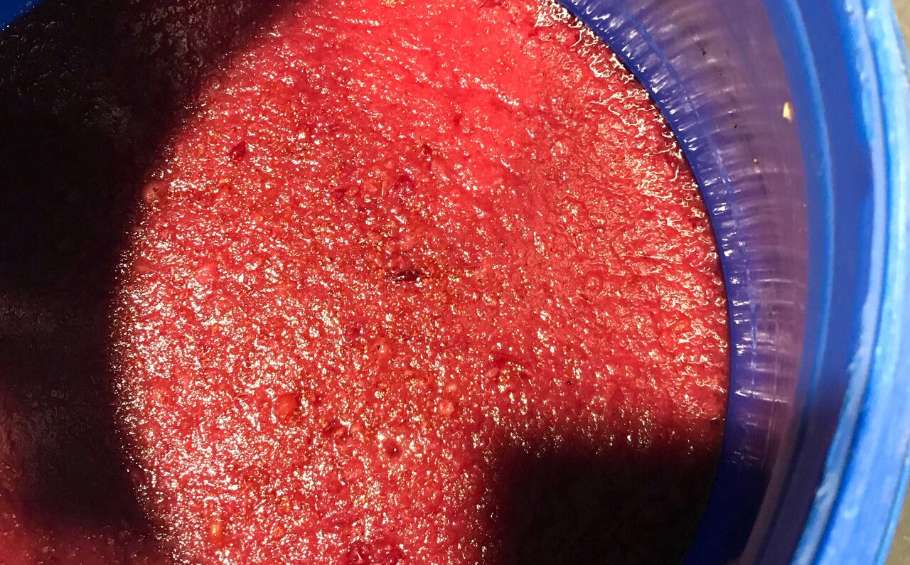 MONKEY 47 モンキー フォーティセブン