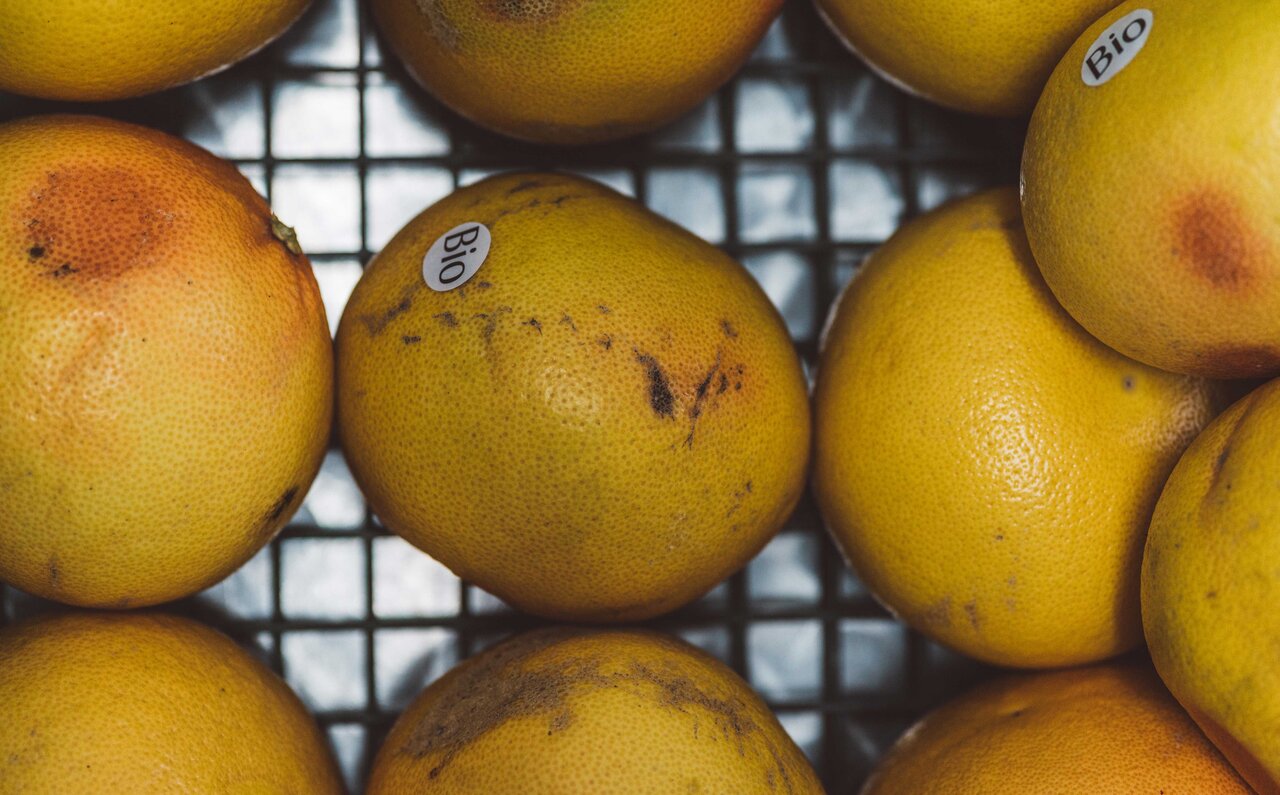 MONKEY 47 モンキー フォーティセブン