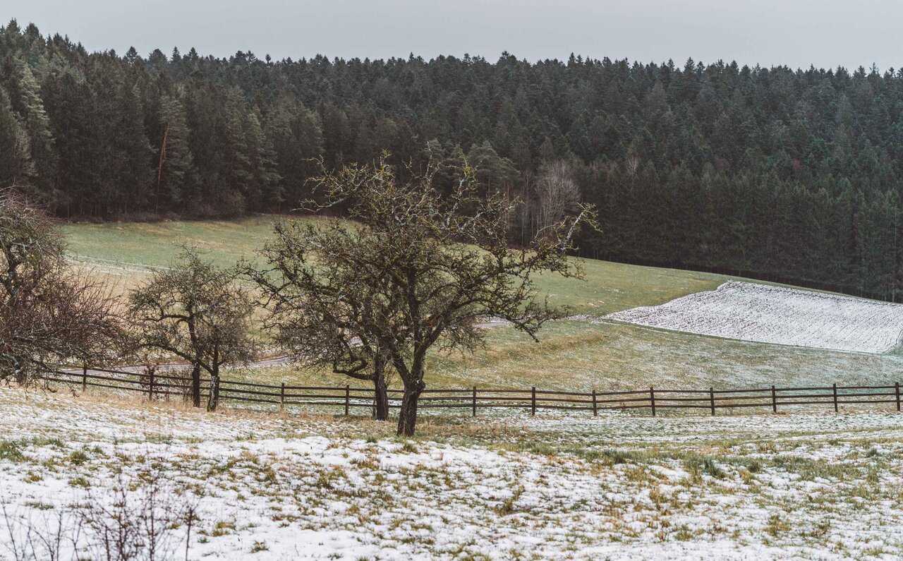 MONKEY 47 モンキー フォーティセブン