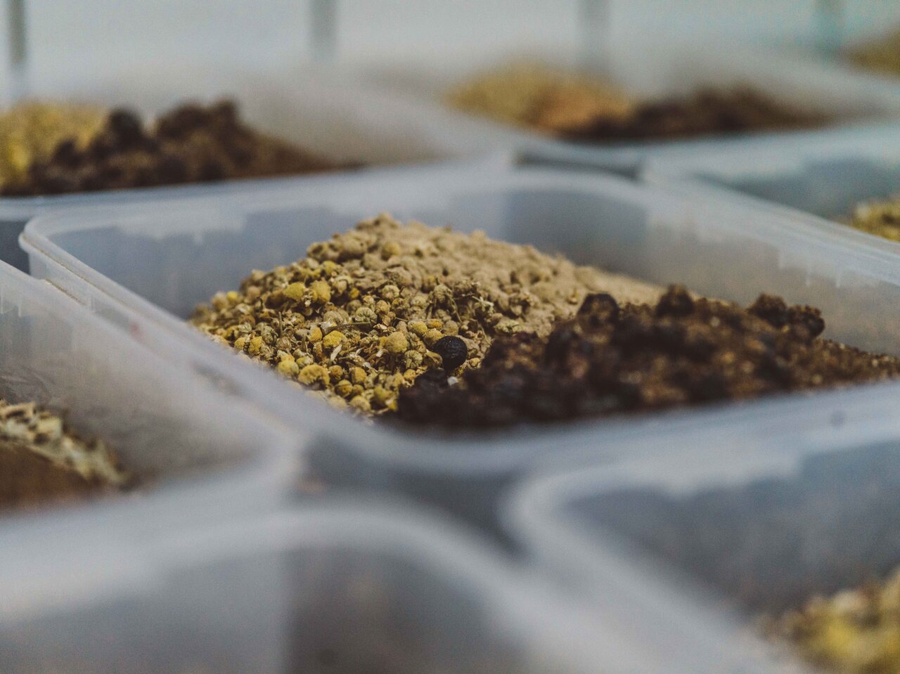 MONKEY 47 モンキー フォーティセブン