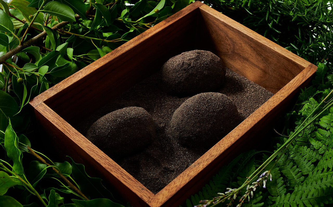 TRAVEL 星野リゾート　リゾナーレ八ヶ岳