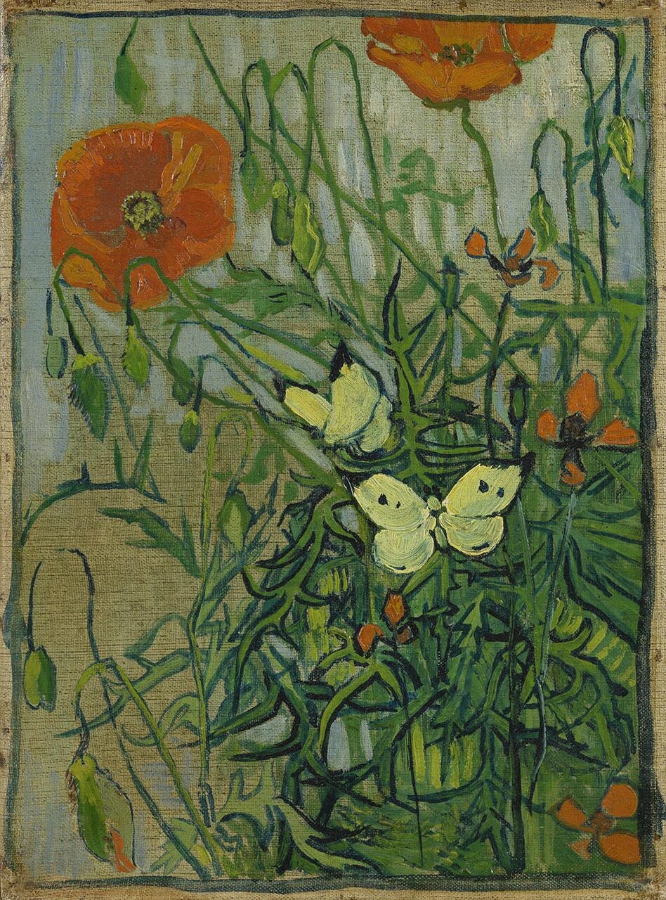 ひなげしと蝶（Butterflies and Poppies ；Saint-Remy-de-Provence, May-June 1889） 