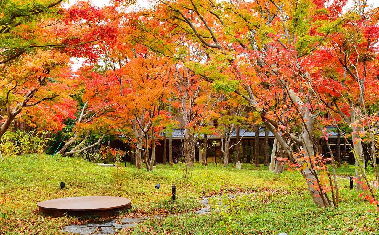 星野リゾート 界