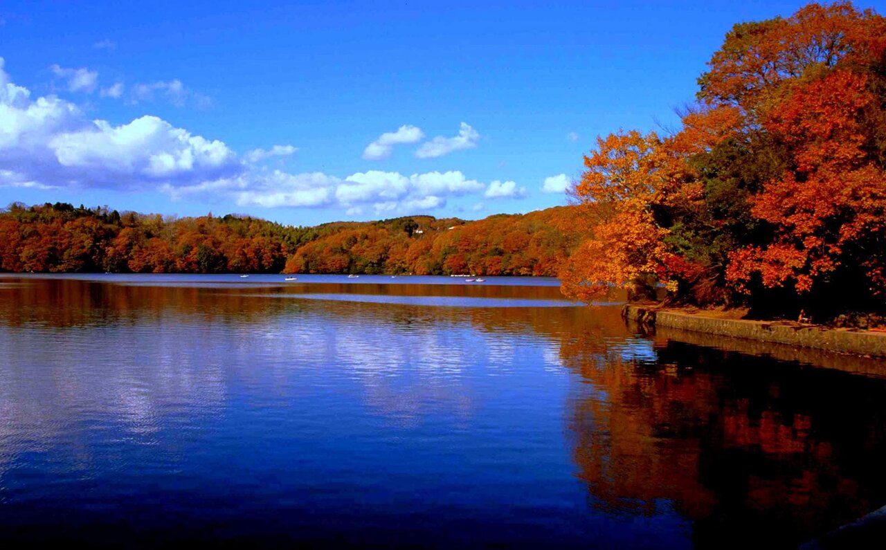 星野リゾート 界