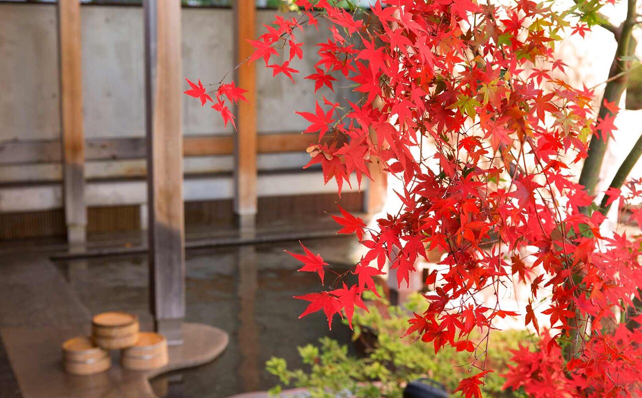 星野リゾート 界