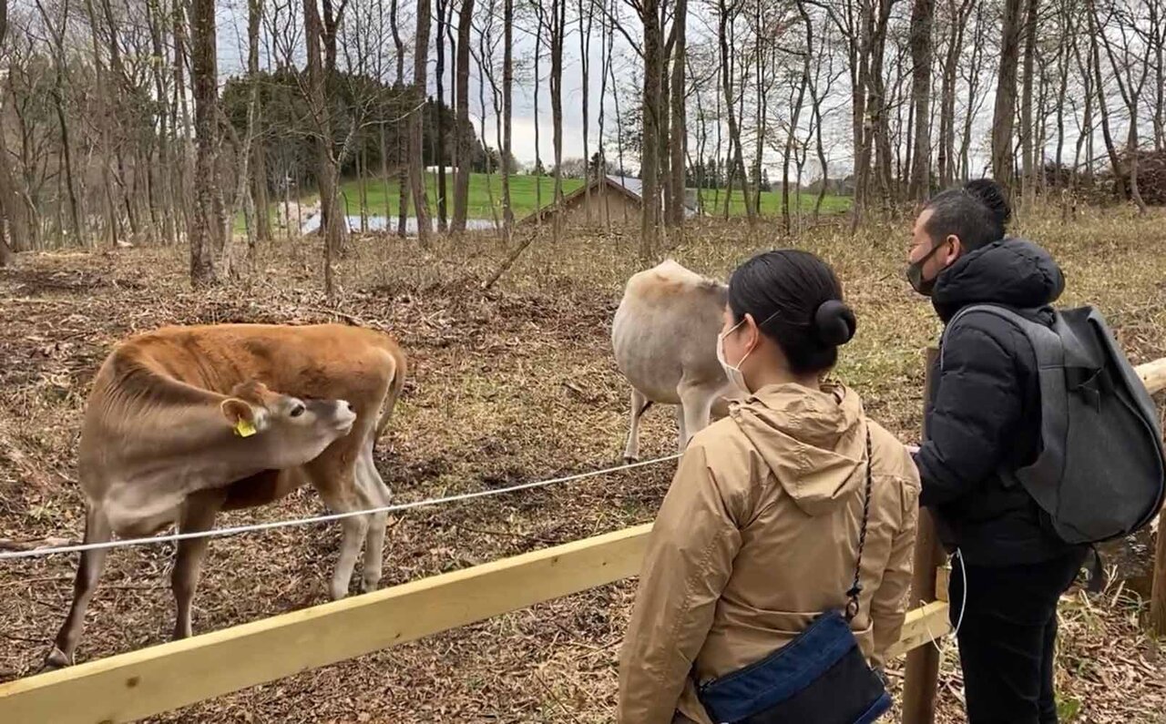 フードロス問題から那須の魅力を発信する製品へ。「星野リゾートのミルクジャム」誕生｜Hoshino Resorts