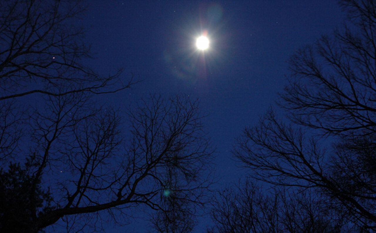 トレッキングとサウナで心身を解放する、星のや軽井沢の「男の野遊び逗留」｜TRAVEL