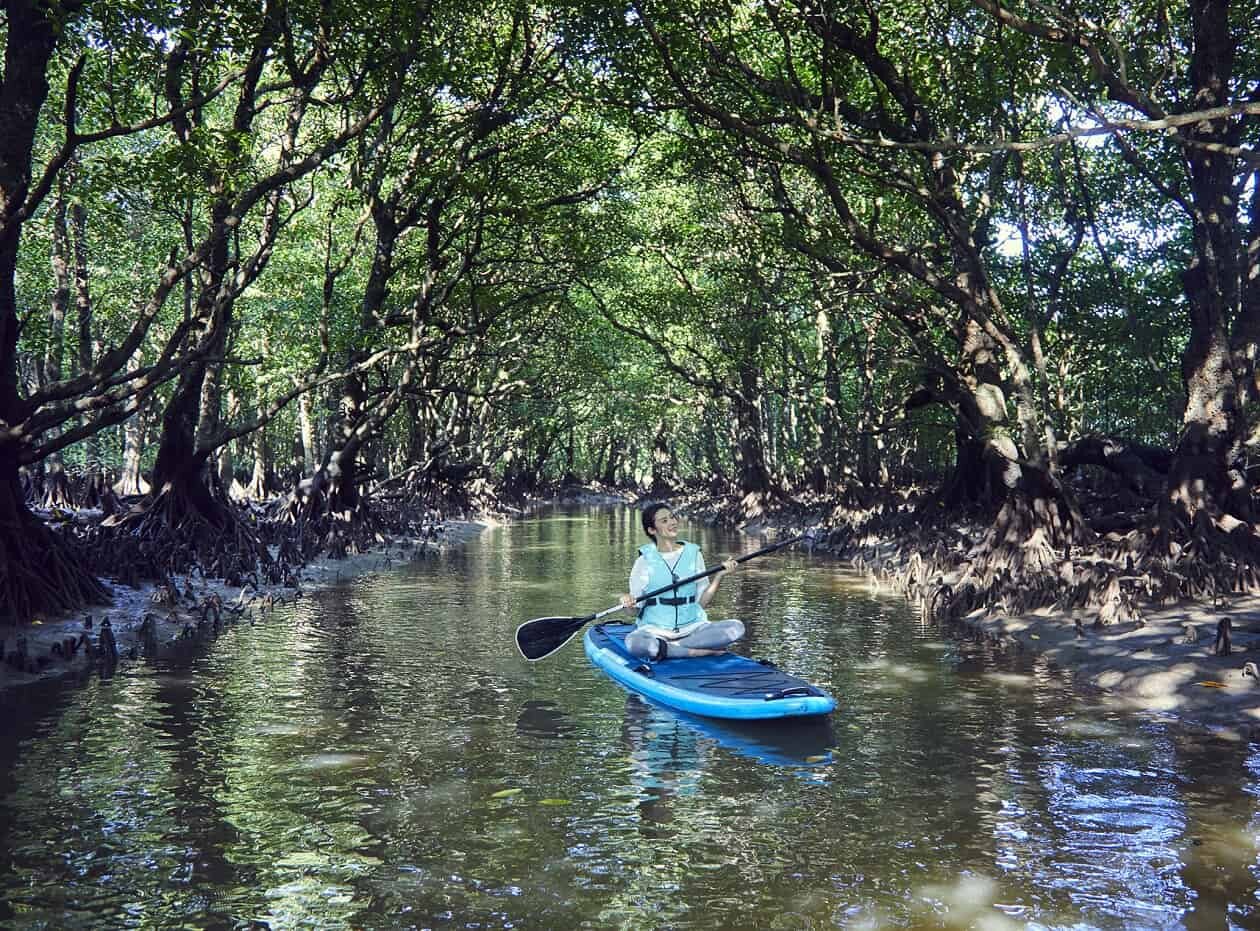 星野リゾート 西表島ホテルで、ストレスを完全解放させる2泊3日のプログラム｜TRAVEL