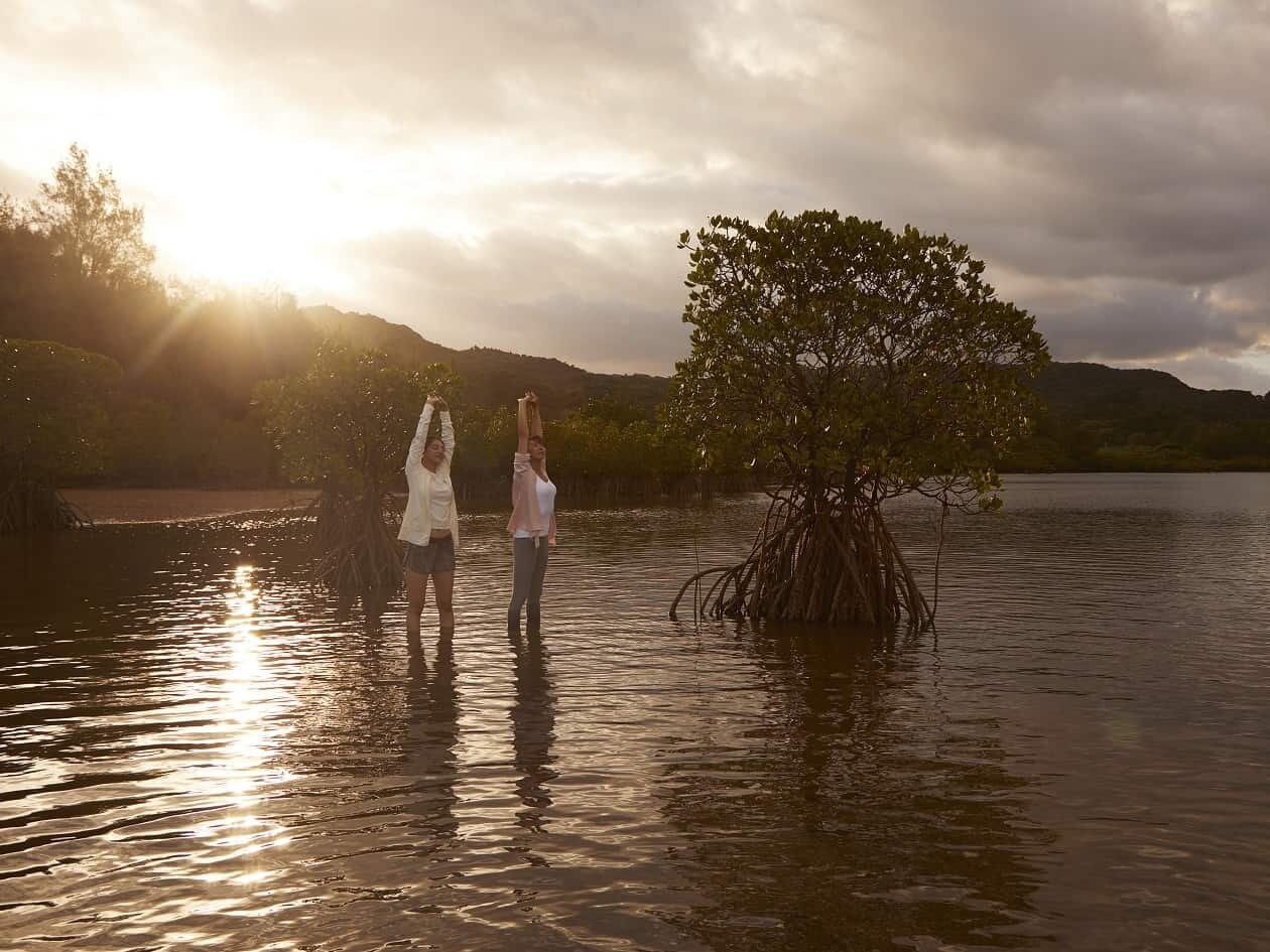 星野リゾート 西表島ホテルで、ストレスを完全解放させる2泊3日のプログラム｜TRAVEL